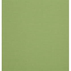 Ρόλερ Μονόχρωμο 1032 Πράσινο Anartisi